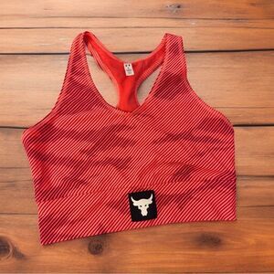 NWT Under Armour Project Rock Sports Bra Large